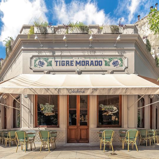 Tigre Morado