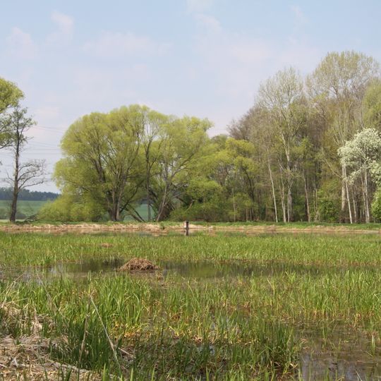 Radomilická mokřina