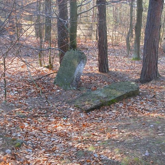 Cmentarz żydowski w Majdanie Królewskim