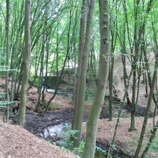 Nature reserve Krępiec