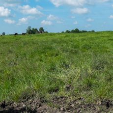 Wierde (Leegkerk II)
