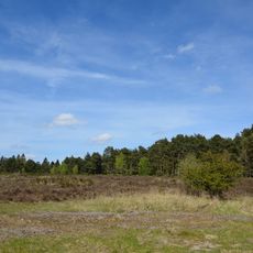 Wittenborner Heide