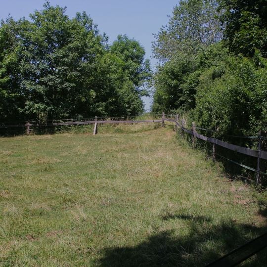 Cultural heritage D-7-8030-0012 in Waal