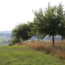 LSG Steinsee, Moosach, Doblbach, Brucker Moos und Umgebung