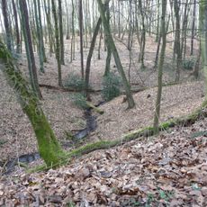 Aplerbecker Wald
