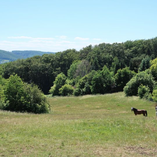 LSG-Tuecking-Auf der Halle und Umgebung