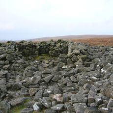 Western White Barrow
