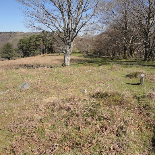 Pagolletako zelaia 1