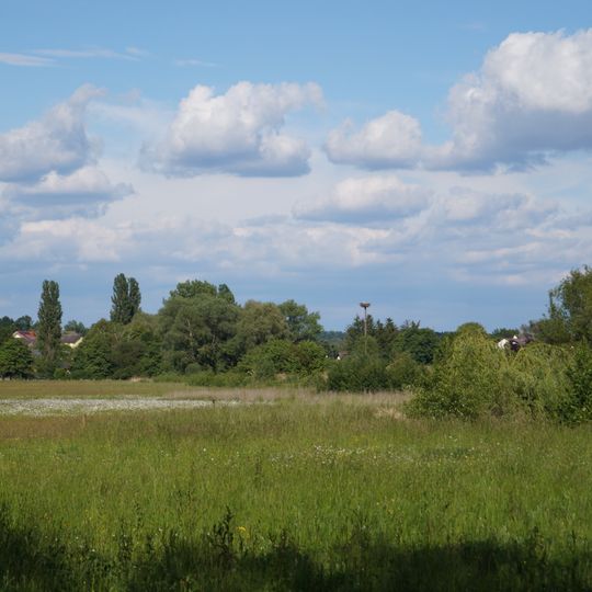 Krebsbachaue von Oberissigheim