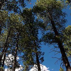Manzano Mountains State Park