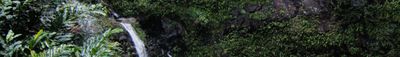 Panoramic View 1