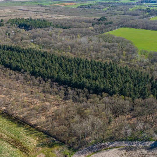 Gehölz bei Schiffdorf