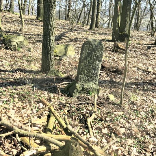 Hraniční kámen u lesní cesty severně od Lučního Chvojna