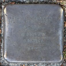 Albert Sorauer