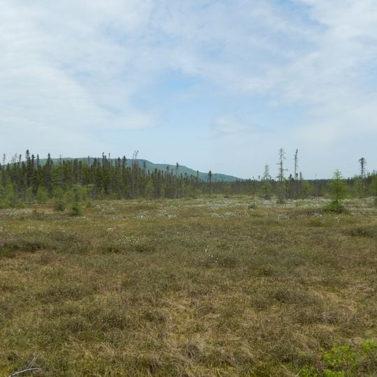 Tourbière-de-Shannon Ecological Reserve