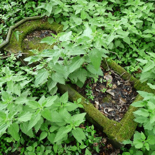 Jewish cemetery in Bosyně