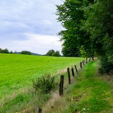 LSG-Wald- und Gruenlandkomplex Huppigsberg