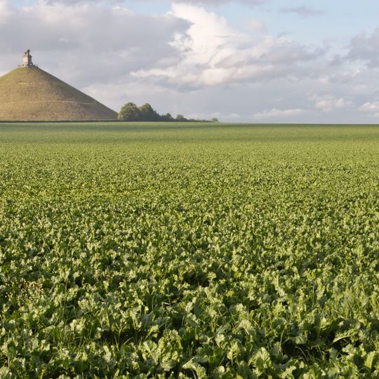 Waterloo Battlefield