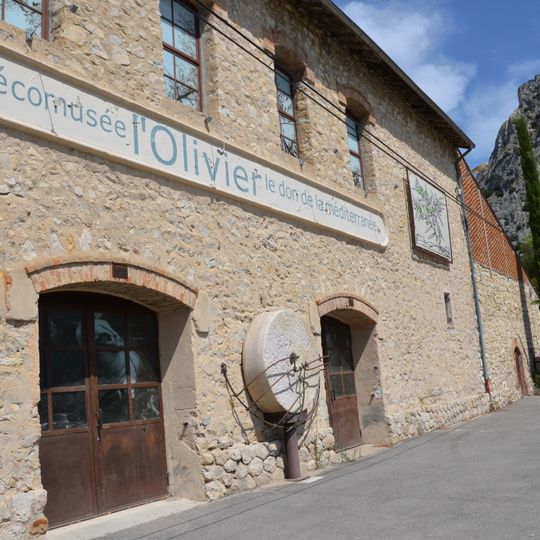 Olive museum