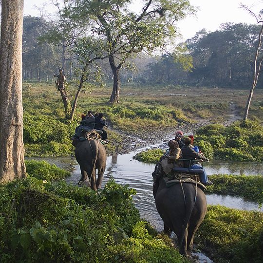 Jaldapara National Park
