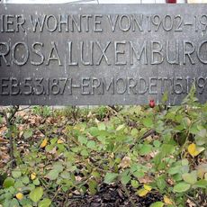 Rosa Luxemburg