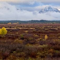 Willow Flats Overlook