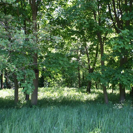 Manor Park in Tytlewo