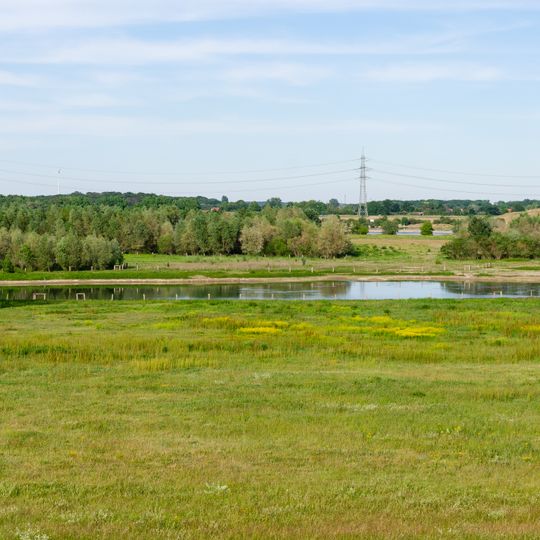 Rheinvorland im Orsoyer Rheinbogen