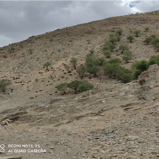 State wildlife sanctuary "Aktau"