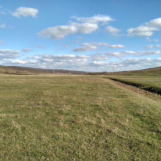 Festuca field near Condrătești