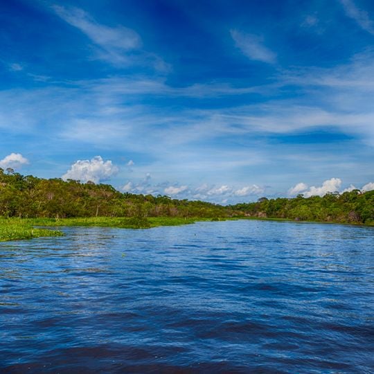 Parc national de l'Amazonie