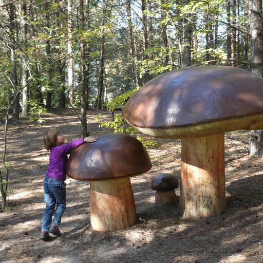 Park Grzybowy w Piłce