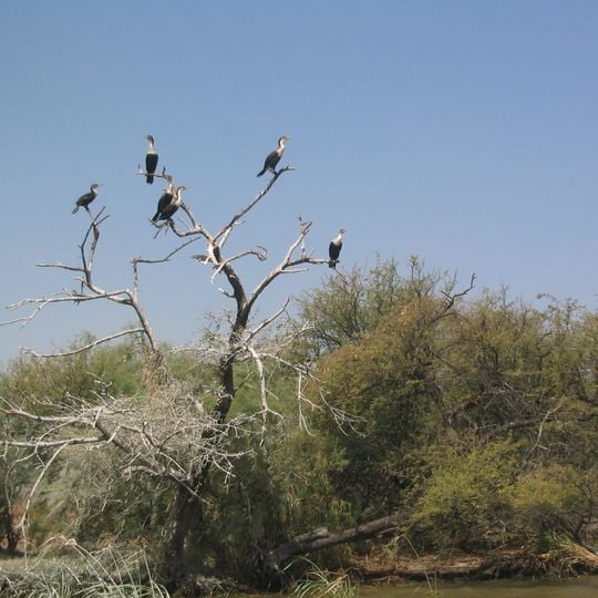 Djoudj National Bird Sanctuary