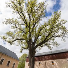 Hof Esche Kleinschirma