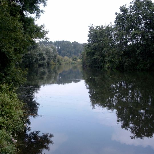 Lippe