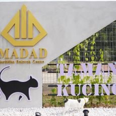 Taman Kucing