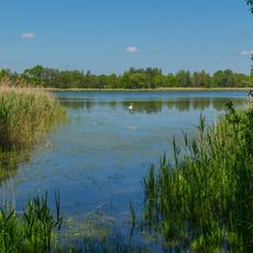 Biosphärenreservat Oberlausitzer Heide- und Teichlandschaft