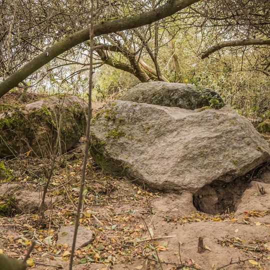 Großsteingrab Carmzow