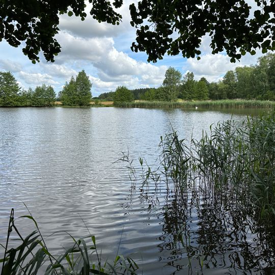 Hauptteich Hartmannsdorf