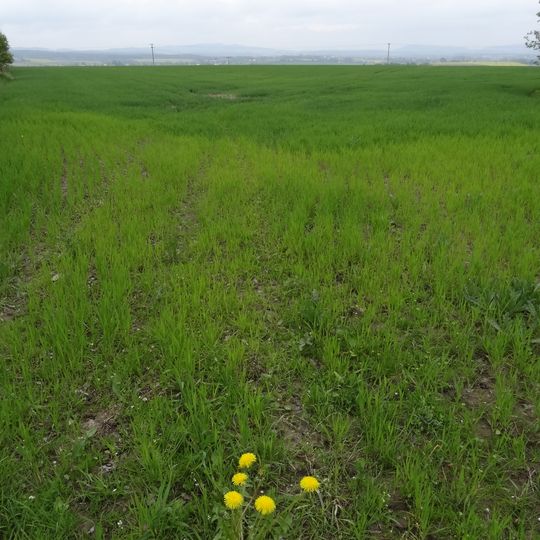 Pohřebiště slezskoplatěnické kultury