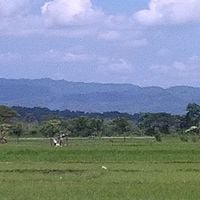 Klaten