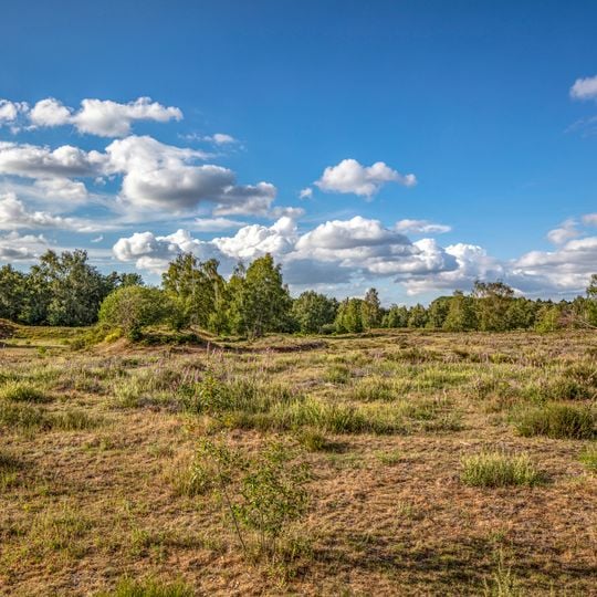 NSG Heronger Buschberge, Wankumer Heide