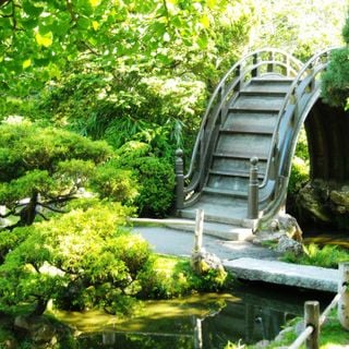 Bridge at the Japanese Tea Garden