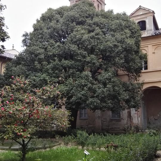 Chiostro dei Frati Francescani Minori