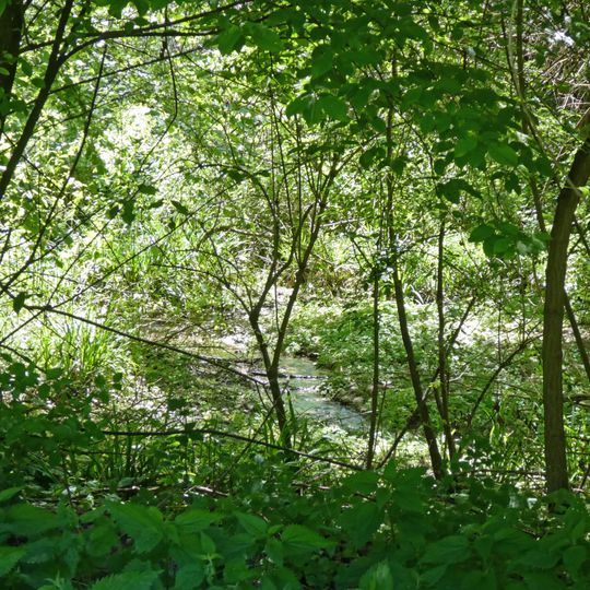 Feuchtgebiet im Gewann Im Heimbühl