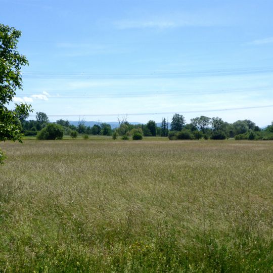 Rheinniederung zwischen Au am Rhein, Durmersheim und Rheinstetten