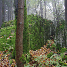 Die Bonifatiuskanzel von Herchenhain