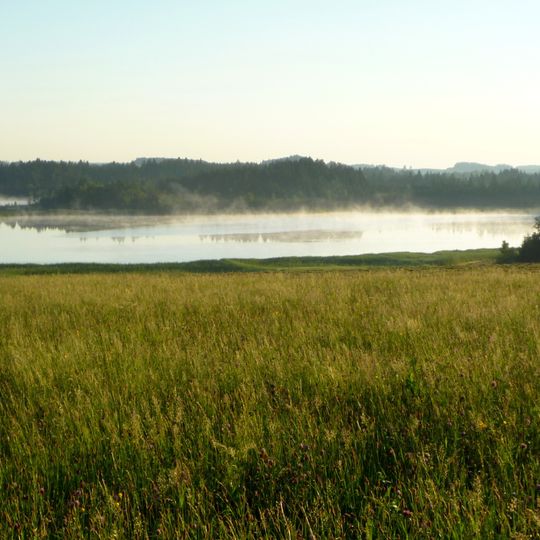 Feuchtgebietskomplexe nördlich Isny