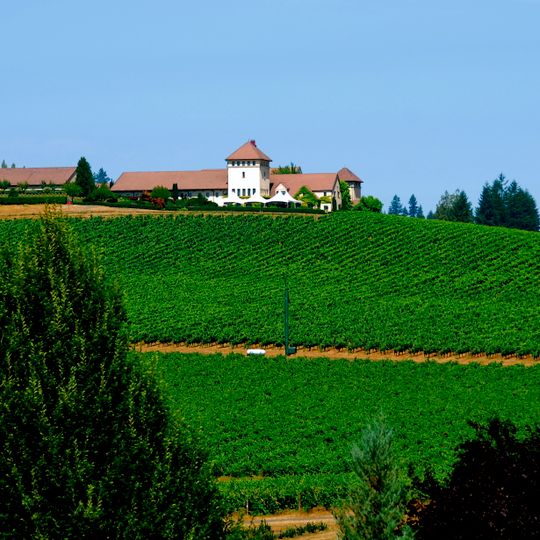 King Estate Winery