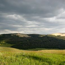 Bighorn National Forest